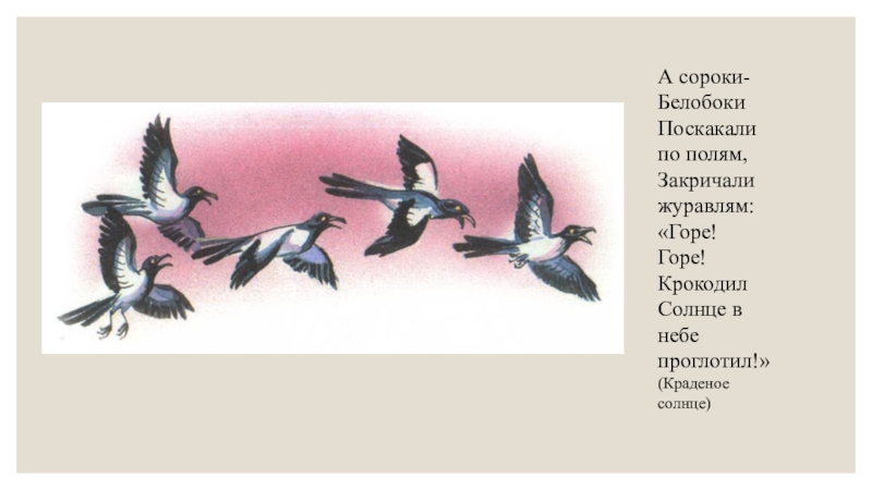 А сороки- Белобоки Поскакали по полям, Закричали журавлям: «Горе! Горе! Крокодил Солнце в небе проглотил!»(Краденое солнце)