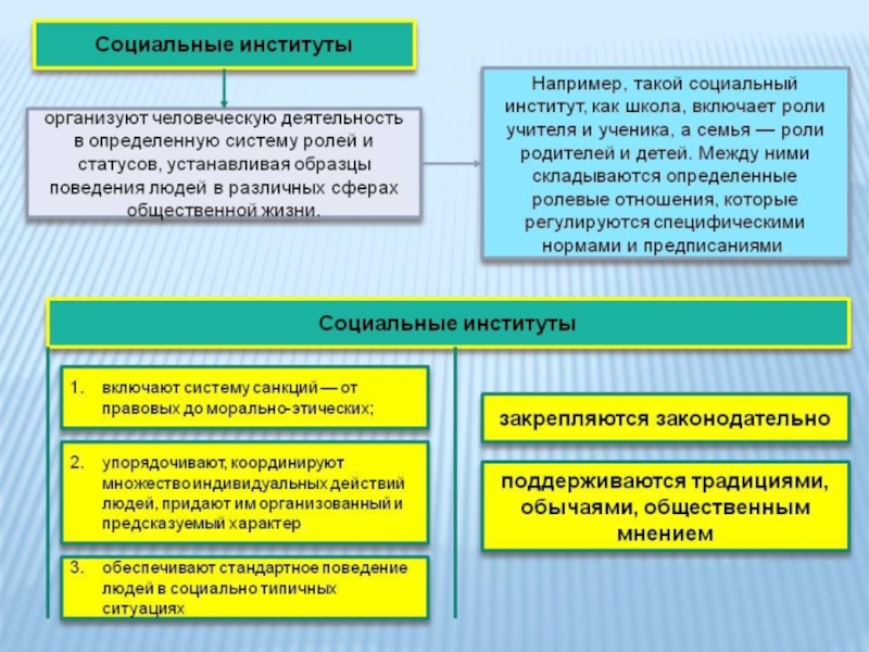 Основные институты общества обществознание егэ презентация