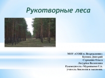 Презентация по биологии Рукотворные леса