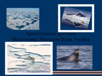 Презентация по географии на тему Арктические пустыни(8 класс)