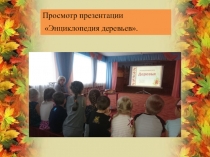 Проект в старшей группе Наши друзья-деревья (часть 2)