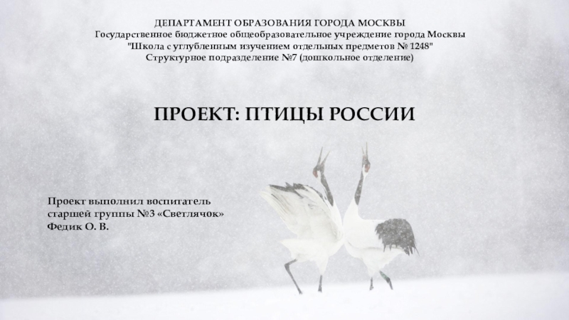 Презентация Презентация по познавательно-исследовательской деятельности Птицы России