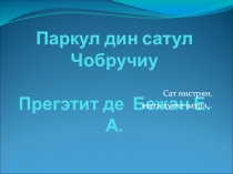 Презентация к классному часу не тему Парк Чобручи