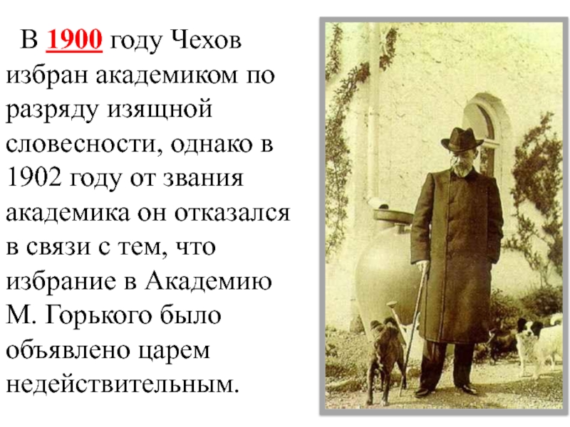 Чехов в аптеке кратко. Жизненный путь Чехова. Чехов 1900 год. Биография и жизненные пути Чехова. Жизненный путь а.п. Чехова..