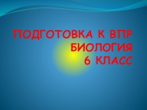 Презентация подготовка к ВПР биология 6 класс
