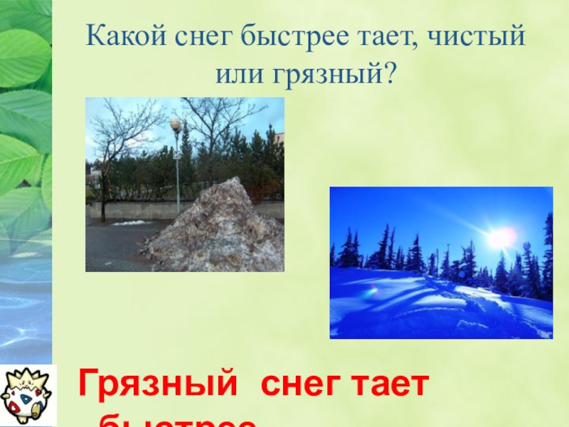 1 снег какой. Какой снег быстрее тает. Какой снег быстрее тает чистый или грязный. Снег чистый или грязный. Снег какой.