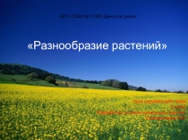 Презентация по окружающему миру Разнообразие растений