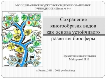 Презентация по биологии на тему Сохранение многообразия организмов (11 класс)