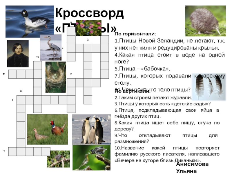 Отбор наилучших образцов растений и животных кроссворд