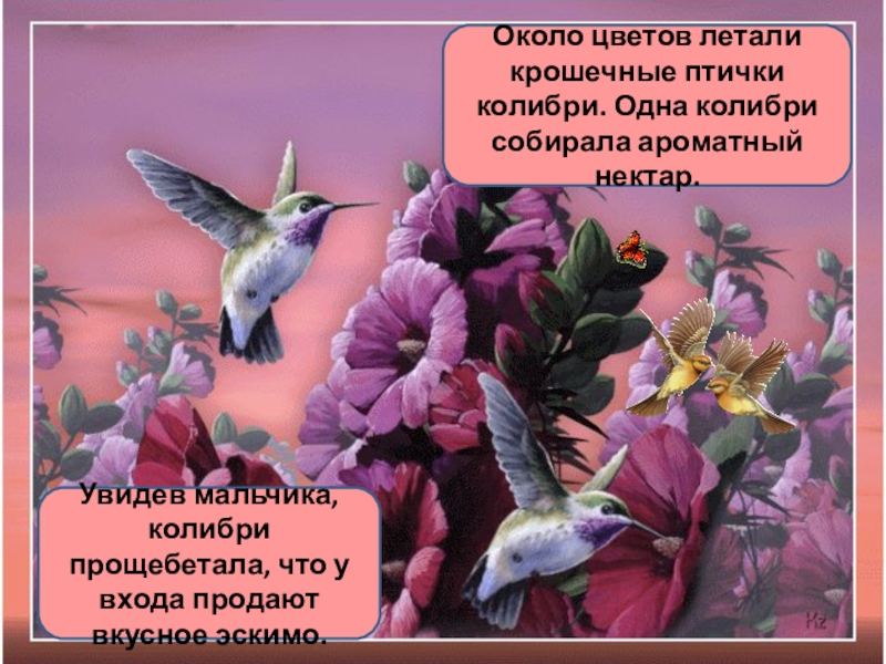 Птицы существительные слова. Род Колибри в русском языке. Летают вокруг цветка Колибри. Колибри птица род существительного род. Порхать растения.