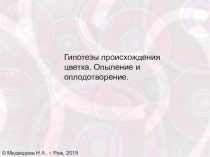 Презентация Гипотезы происхождения цветка