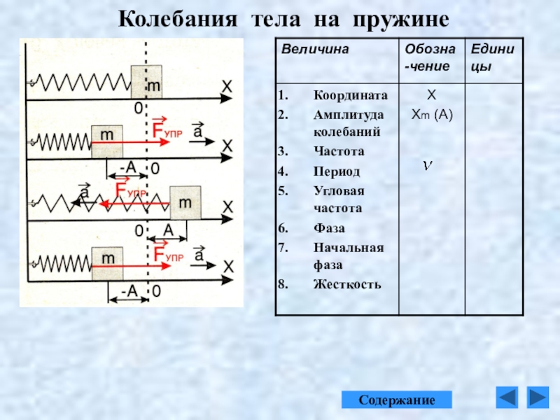 Амплитуда колебаний груза 3 см. Колебания тела на пружине. Колебания груза на пружине. Амплитуда колебаний тела на пружине. Период колебаний тела на пружине.