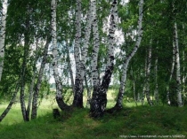 Презентация к уроку окружающего мира 2 класс.