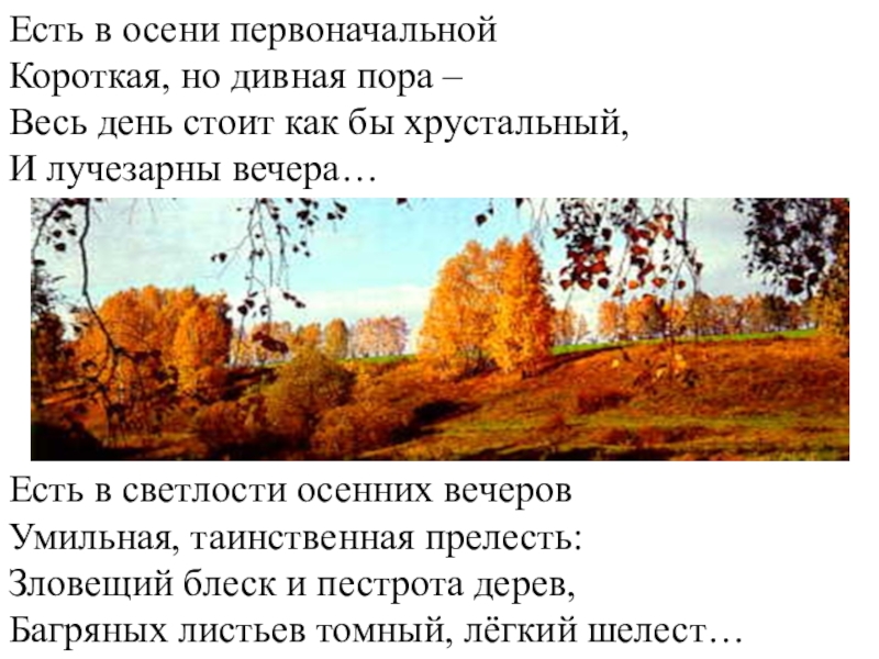 Есть в осени короткая но дивная пора. Есть в осени первоначальной короткая но дивная пора. Стихотворение есть в осени первоначальной. Стих есть в осени первоначальной короткая но дивная пора. Осень первоначальная короткая но дивная пора.