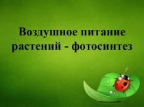 Презентация по биологии Фотосинтез