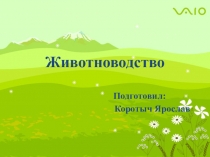 Презентация по окружающему миру на тему Животноводство