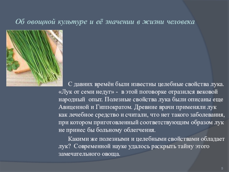 Полезен ли зеленый лук. Сообщение о зеленом луке. Каково значение овощных культур в жизни человека.