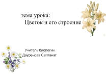 Презентация по биологии на тему Строение цветка 6 класс