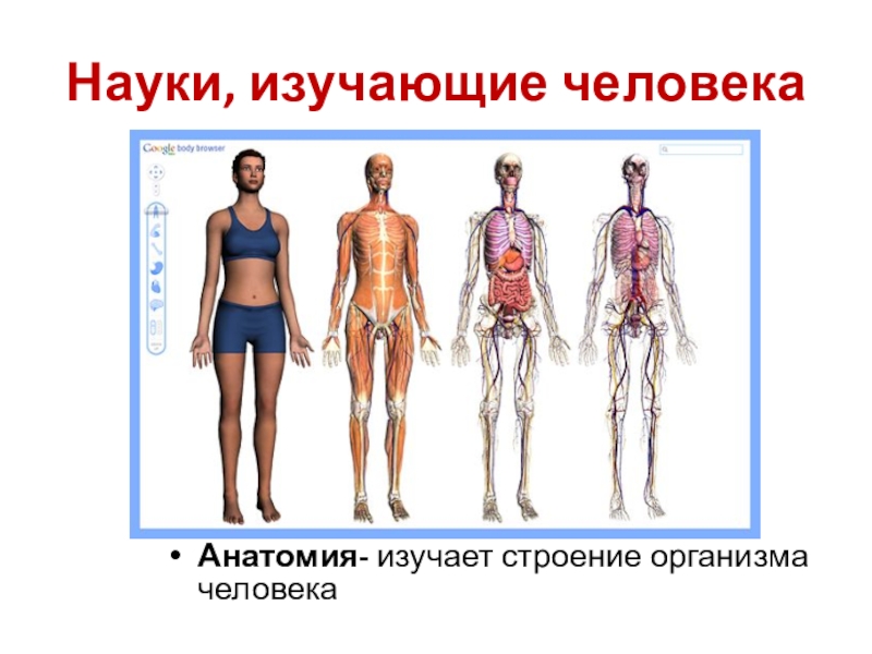 Исследования тела человека. Изучение тела человека. Изучение строения человека. Наука изучающая строение тела человека. Изучаем тело человека.