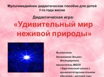 Дидактическая игра: Удивительный мир неживой природы