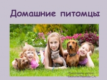 Презентация к игре по биологии на тему Домашние питомцы (5 класс)