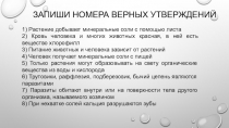 Презентация по естествознанию на тему: Можно ли жить без воды? (5 класс)