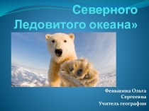 Презентация Животные Северноно Ледовитого океана