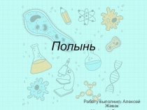 Презентация по биологии на тему полынь