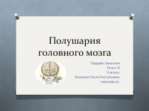 Презентация к уроку биологии Полушария большого мозга