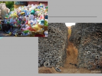 Презентация  Ёлочка - зелёная иголочка