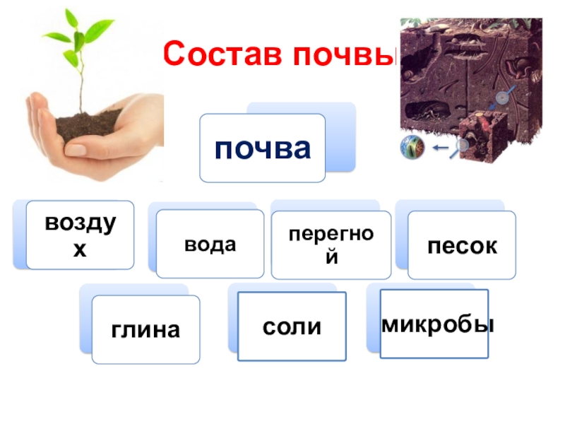 В состав почвы входят. Состав почвы. Состав почвы 3 класс окружающий мир. Состав почвы картинки. Вещества которые входят в состав почвы.