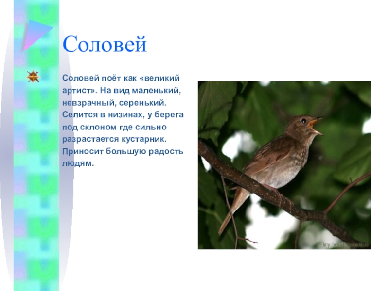 Поешь значение. Предложение про соловья. Петь как Соловей значение. Предложение со словом соловьи. Фразеологизм Соловей.