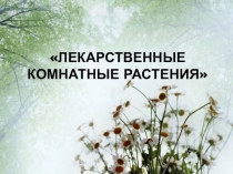 Лекарственные растения