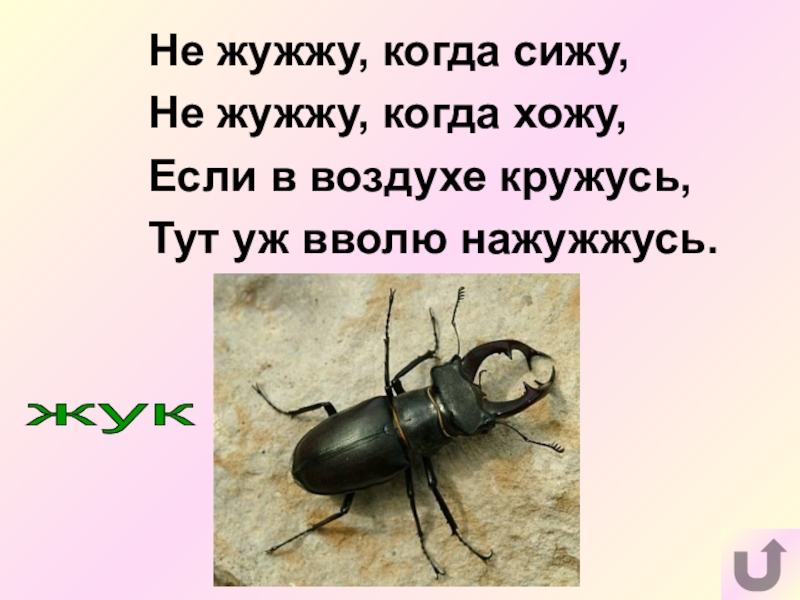 Не жужжу когда сижу. Жужжит жужелица жужжит кружится. Жужжу. Жужжу жужжу жужжу жужжу жужжу. Жужжит жужелица скороговорка.