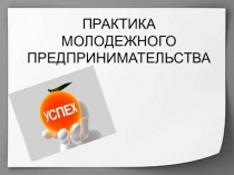 Презентация по теме: Практика молодежного предпринимательства