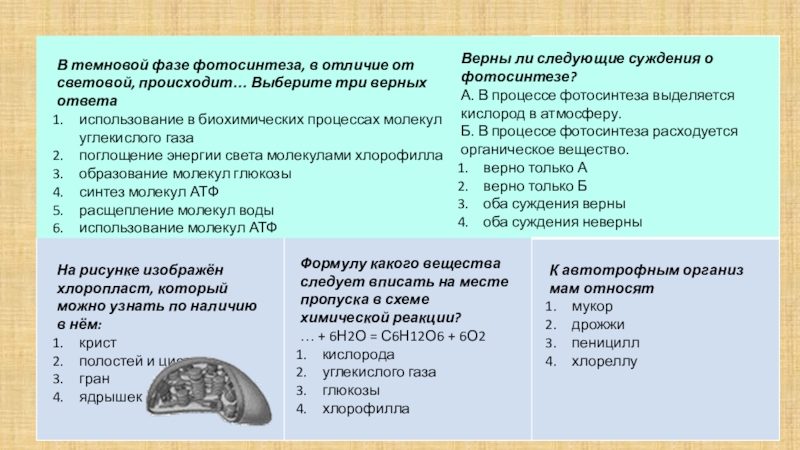 Установите соответствие между процессами фотосинтеза. Биосинтез углеводов фотосинтез. Биосинтез углеводов фотосинтез 9 класс. В тёмновой фазе фотосинтеза в отличие от световой происходит. Биосинтез углеводов фотосинтез таблица.