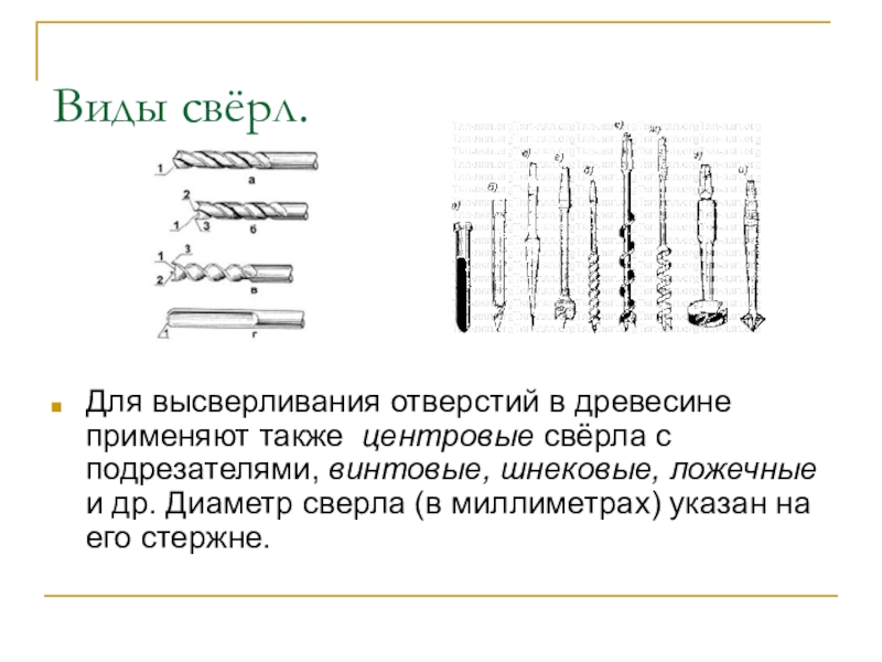 Виды сверл. Свёрла винтовые центровые ложечное. 4 Вида сверл ложечные, винтовые, центровые, спиральные. Диаметр сверла для отверстия в дереве 5 мм. Почему центровые сверла делают более качественные отверстия.