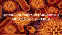 Презентация по дисциплине Основы микробиологии и иммунологии на тему Экология микроорганизмов и методы ее изучения