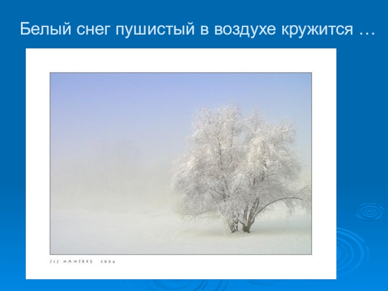 Белый снег пушистый в воздухе кружится. Белый снег пушистый. Белый снег пушистый в воздухе. Снег пушистый белый белый.