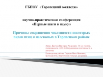 Презентация к исследовательской работе