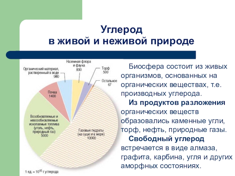 Проект на тему углерод в моем организме