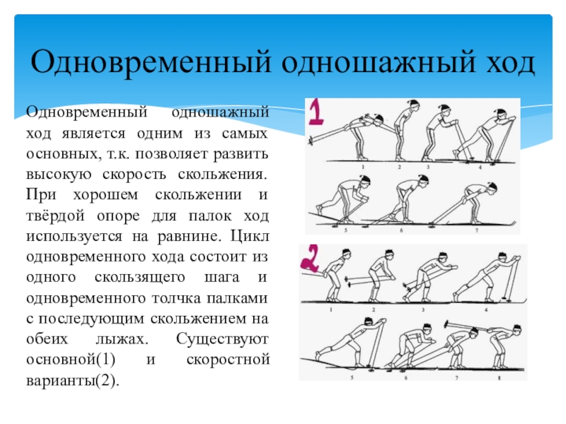 Подводящие упражнения одновременно одношажного хода