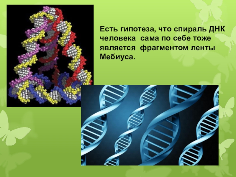 12 днк. Спираль ДНК лента Мебиуса. Спираль ДНК. Спираль ДНК человека. Спираль ДНК сама по себе тоже является фрагментом ленты Мебиуса.