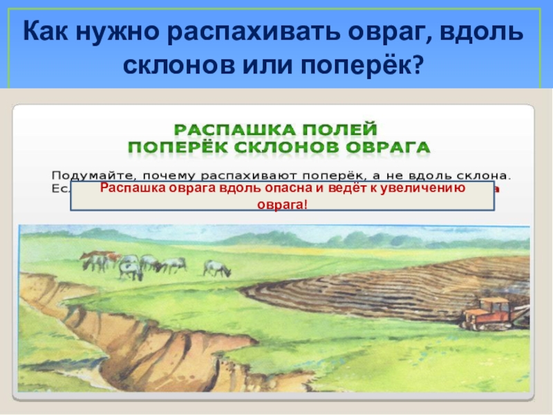 Как бороться с оврагами. Овраг части оврага. Строение оврага и холма. Окружающий мир холмы и овраги. Холмы и овраги 3 класс.