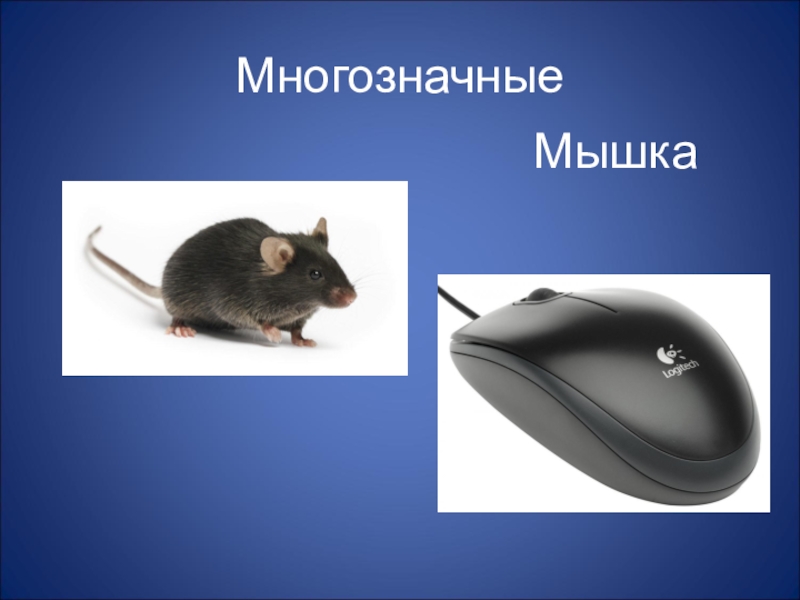 Лексическое слово мышь