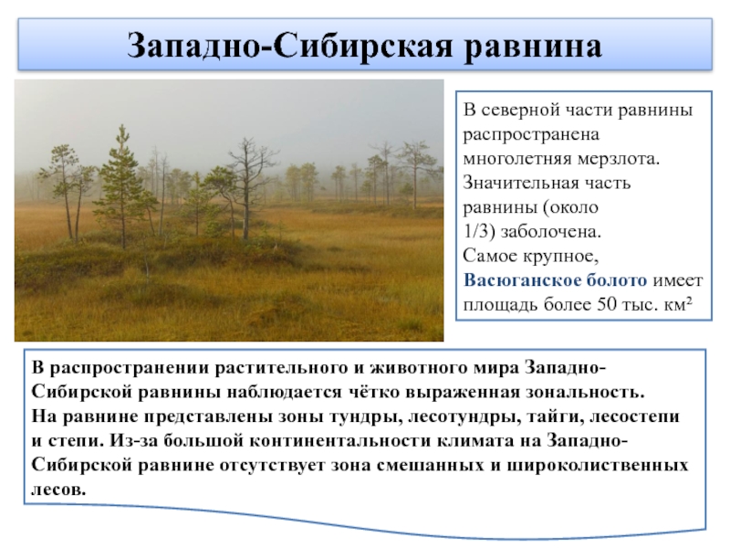 Западно-Сибирская равнинаВ распространении растительного и животного мира Западно-Сибирской равнины наблюдается чётко выраженная зональность. На равнине представлены зоны тундры, лесотундры, тайги, лесостепи и степи. Из-за большой