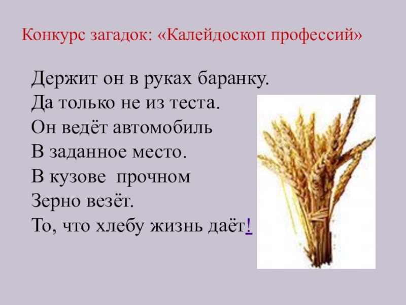 Конкурс загадок. Загадка про хлебороба. Загадка про хлебороба для детей. Загадки про зерно. Сочинение в гостях у хлебороба.