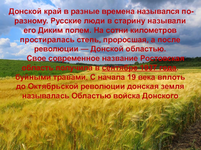 Описание природы края. Презентация Донской край. Презентация Донской край наша малая Родина. Природа Донского края сочинение. Родной Донской край.