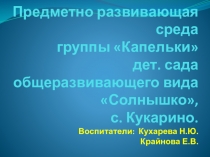 Презентация по дошкольному образованию: Предметно-развивающая среда