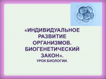 Презентация по биологии Биогенетический закон